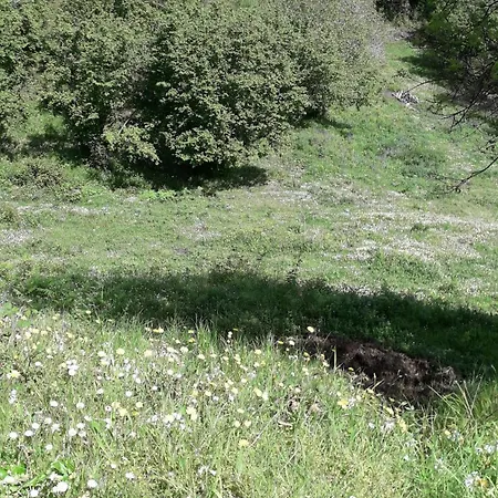 Tatil Evi Et Campagne Cervione