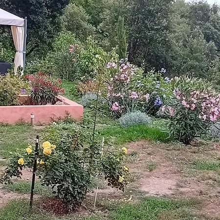 Et Campagne Hébergement de vacances Cervione