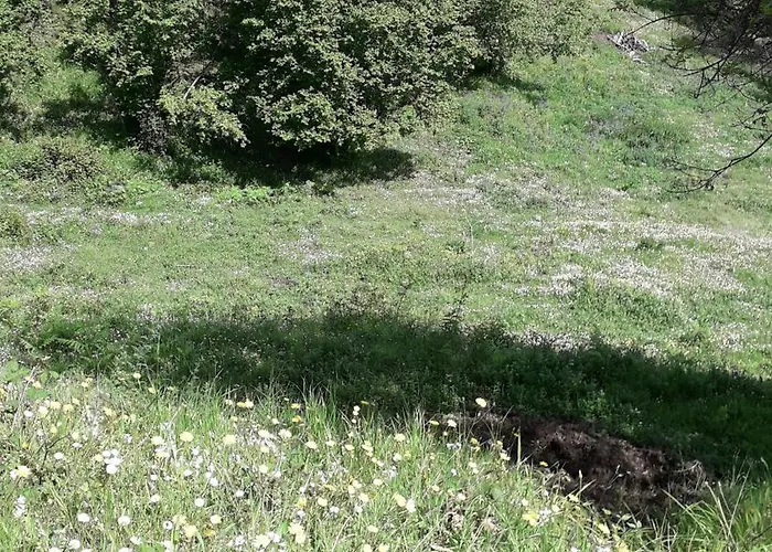 Prázdninový dům Et Campagne Cervione